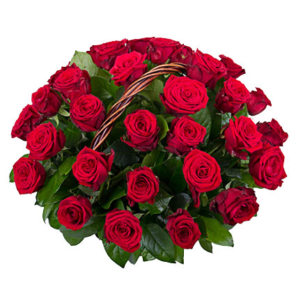 Flowers. Arrangement of 35 red roses in basket. Rose stem length 60 cm