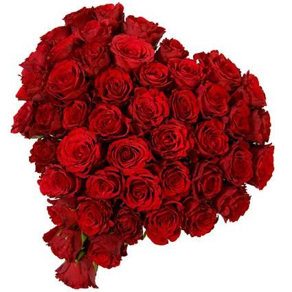 Ziedu piegāde Latvijā. Ziedu pušķis sirds formā no 33 vai 55 sarkanām rozēm.

Ziedu klāsts ir ļoti plašs. Var gadīties, ka