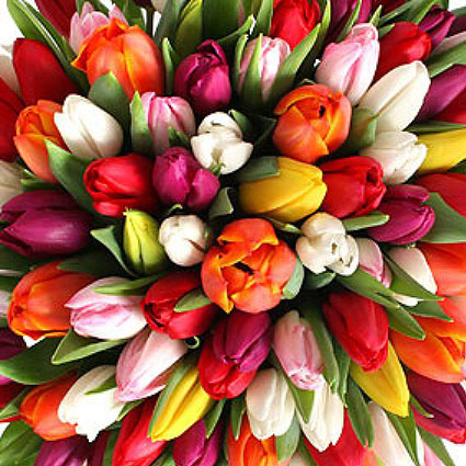 Цветы: Разноцветные тюльпаны . Создай свой букет!