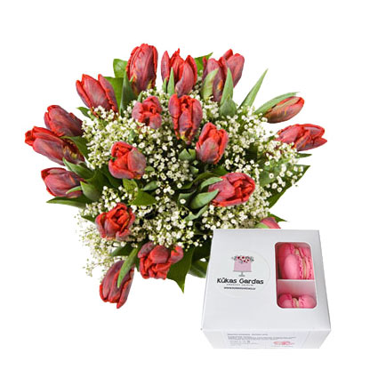Flower delivery Latvia. Bouquet of 21 red tulip with decorative foliage and macarons