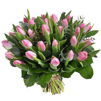 Ziedi ar kurjeru. Romantiskā ziedu pušķī 29 rozā tulpes ar atsvaidzinošiem eikalipta zaļumu akcentiem.

Ziedu klāsts ir