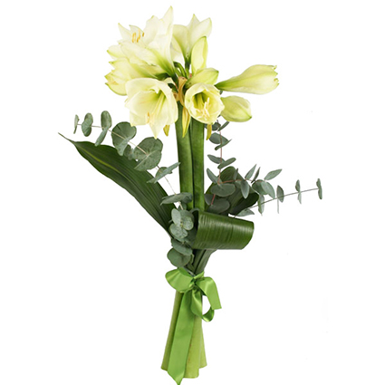 Ziedi un to piegāde. 3 vai 5 balti amariļļi dekoratīvā noformējumā.

Ziedu klāsts ir ļoti plašs. Var gadīties, ka