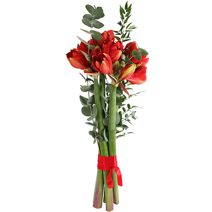 Цветы и доставка. Красный амариллис в декоративном оформлений.