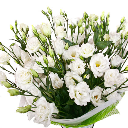 Цветы он-лайн. Роскошный букет из 29 или 15 белого лизиантуса в декоративном оформле