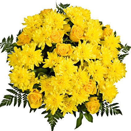 Ziedu piegāde. Dzeltenas rozes un dzltenas krizantēmas viena otru lieliski papildina šajā košajā ziedu pušķī.

Ziedi