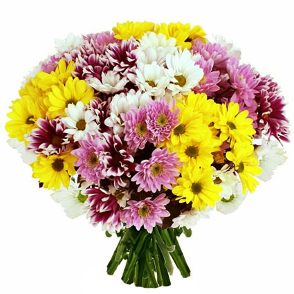 Flowers delivery. Bouquet of 27 chrysanthemums in four different colors: white, yellow, pink and dark pink.