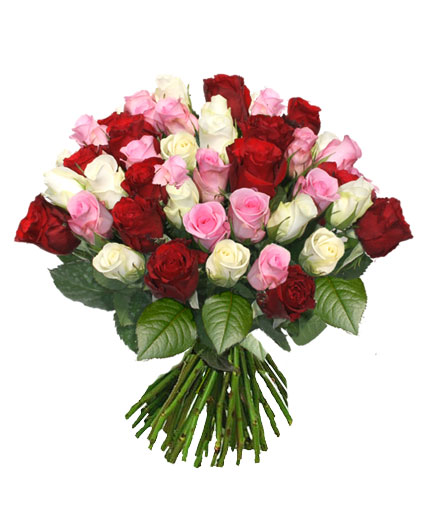 Flowers delivery. Gorgeous bouquet of 15 red, 15 white and 15 pink roses.