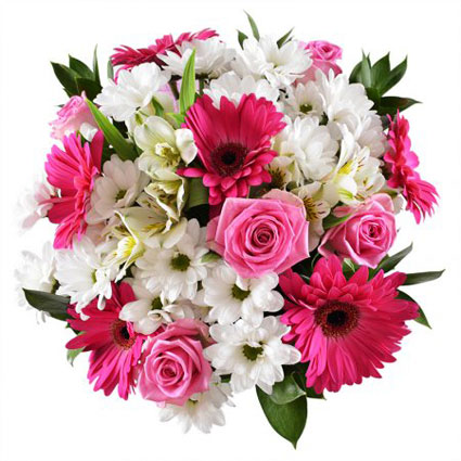 Ziedi Latvijā. Košajā ziedu pušķī rozā rozes, rozā gerberas, baltas alstromērijas un baltas krizantēmas