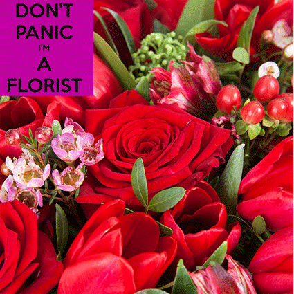 Flowers. Is it hard to decide which flowers to send?
Let our florists create something special only for you! Our florists