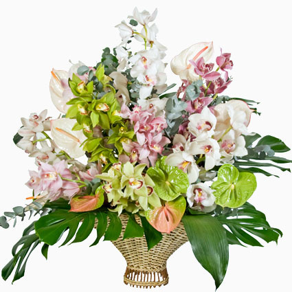 Flower delivery Latvia. Luxurious arrangement of exotic orchids and anthuriums in flower basket.