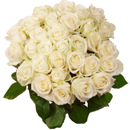 Flower delivery Latvia. Bouquet of 35 white roses. Rose length 60 cm.