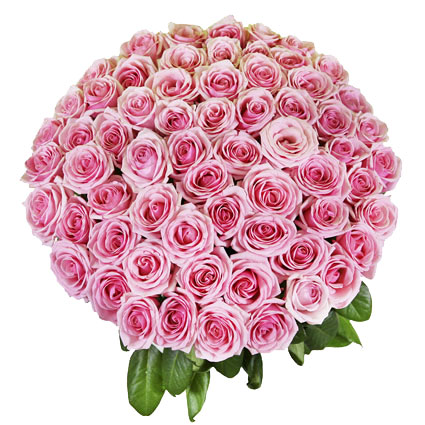 Flowers in Riga. Bouquet of 55 pink roses.