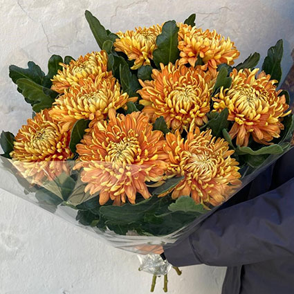 Bouquet of 9 autumn chrysanthemums