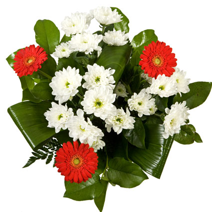 Flower delivery Riga. Bouquet of red gerberas and white chrysanthemums.