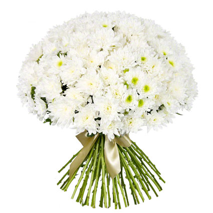 Flower delivery. Voluminous bouquet of 45 white chrysanthemums.