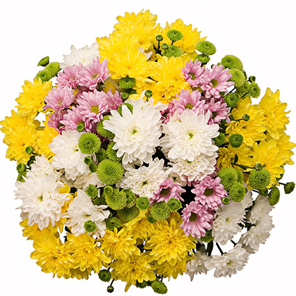 Цветы и доставка, Жизнерадостный букет из 23 разноцветных хризантем.
