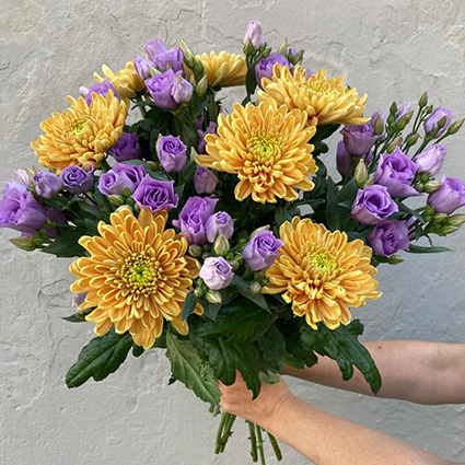 Chrysanthemums And Lisianthus with delivery in Riga