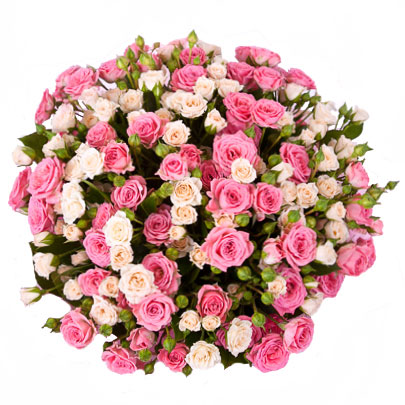 Ziedi Rīga. 25 krūmrozes dažādu nokrāsu rozā toņos šarmantā pušķī.

Ziedu klāsts ir ļoti plašs. Var gadīties, ka izvēlētie