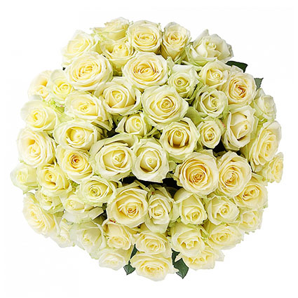 Доставка цветов в Латвии. Роскошный букет из 51 белой розы. Длина роз 60 см.