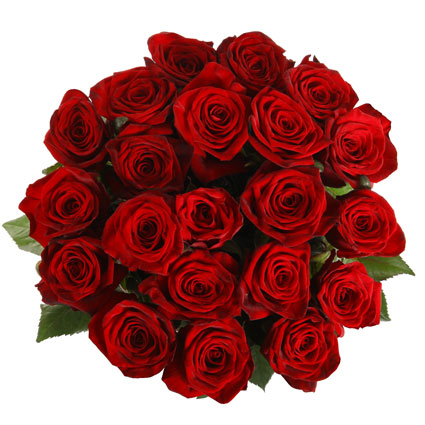 Bouquet of 21 red roses.