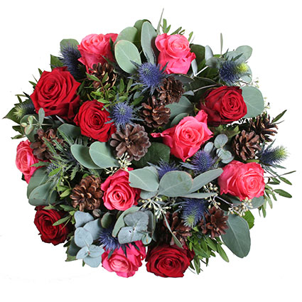 Ziedi ar kurjeru. Ziedu pušķis no sarkanām rozēm, rozā rozēm, zilām ežziedēm ar dekoratīviem priežu čiekuru
