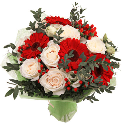 Ziedi Latvijā. Baltu rožu un sarkanu gerberu pušķis īpašam sveicienam, papildināts ar sarkanām ogām un eikaliptu