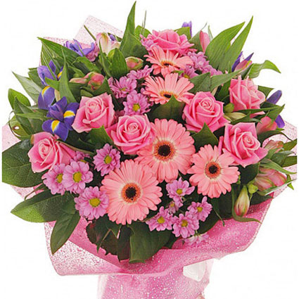 Flowers on-line. Luxurious bouquet of pink gerberas, pink roses, pink chrysanthemums, blue irises, pink alstroemerias.