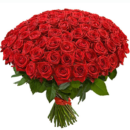 Flower delivery. The classic bouquet of 101 flaming red roses. Rose stem length 60 cm.
