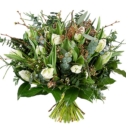 Nopirkt ziedus Rīgā,  Pavasarīgs baltu tulpju pušķis ar dekoratīviem smalkziediem un zaļumiem.
