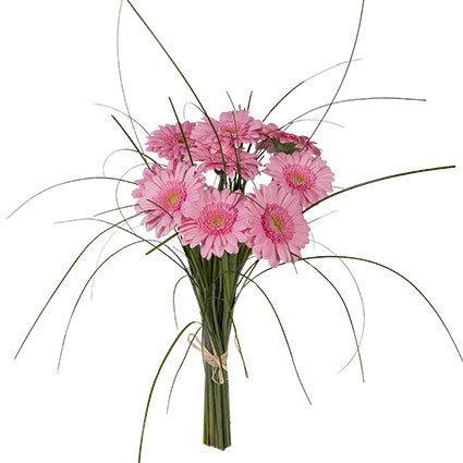 Flower delivery Riga. Bouquet of  velvety pink gerberas with playful greens.