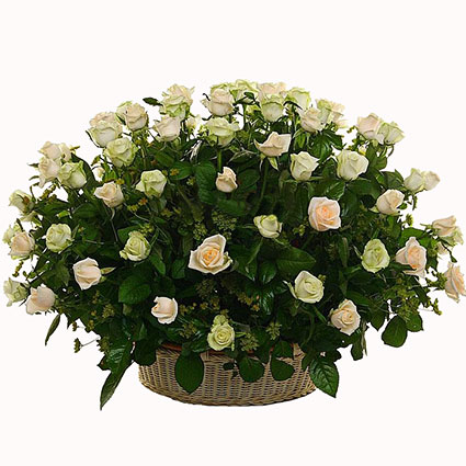 Ziedu piegāde. Kompozīcija pītā grozā no 35 vai 55 baltām rozēm.

Ziedu klāsts ir ļoti plašs. Var gadīties, ka izvēlētie